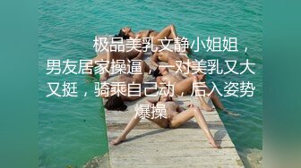 ❤️❤️极品美乳文静小姐姐，男友居家操逼，一对美乳又大又挺，骑乘自己动，后入姿势爆操