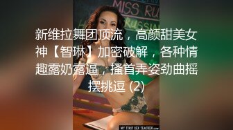 新维拉舞团顶流，高颜甜美女神【智琳】加密破解，各种情趣露奶露逼，搔首弄姿劲曲摇摆挑逗 (2)