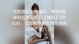 宅男露脸女神福利，推特S级身材反差福利姬【挽风】VIP私拍，白皙美腿美乳特写道具玩弄小蜜穴 (2)