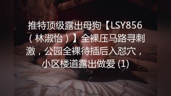 推特顶级露出母狗【LSY856（林淑怡）】全裸压马路寻刺激，公园全裸待插后入怼穴，小区楼道露出做爱 (1)