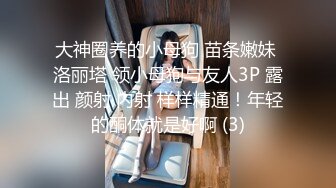 大神圈养的小母狗 苗条嫩妹 洛丽塔 领小母狗与友人3P 露出 颜射 内射 样样精通！年轻的酮体就是好啊 (3)