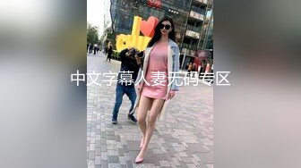 中文字幕人妻无码专区