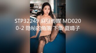 STP32249 麻豆传媒 MD0200-2 隐秘的角落 下集 夏晴子