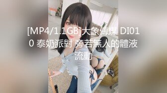 [MP4/1.1GB]大象傳媒 DI010 泰奶派對 旁若無人的體液流動