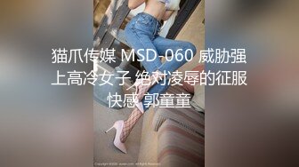 猫爪传媒 MSD-060 威胁强上高冷女子 绝对凌辱的征服快感 郭童童