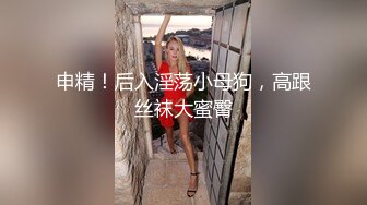 申精！后入淫荡小母狗，高跟丝袜大蜜臀