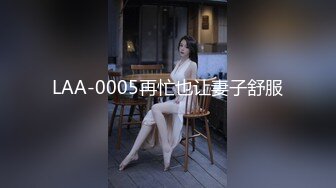 LAA-0005再忙也让妻子舒服