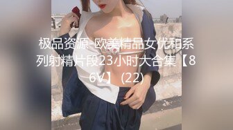 极品资源-欧美精品女优和系列射精片段23小时大合集【86V】 (22)