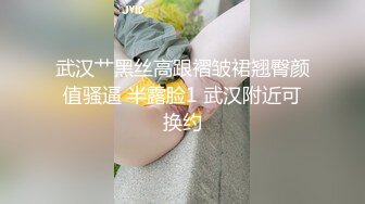 武汉艹黑丝高跟褶皱裙翘臀颜值骚逼 半露脸1 武汉附近可换约