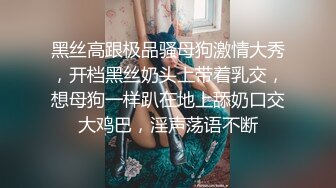 黑丝高跟极品骚母狗激情大秀，开档黑丝奶头上带着乳交，想母狗一样趴在地上舔奶口交大鸡巴，淫声荡语不断