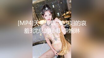 [MP4]天美传媒-美少妇的哀羞3沈总的秘书-伊婉琳