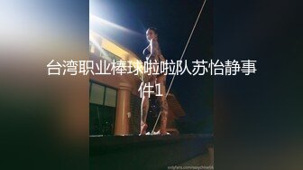 台湾职业棒球啦啦队苏怡静事件1