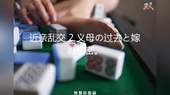 近亲乱交 2 义母の过去と嫁の秘密。